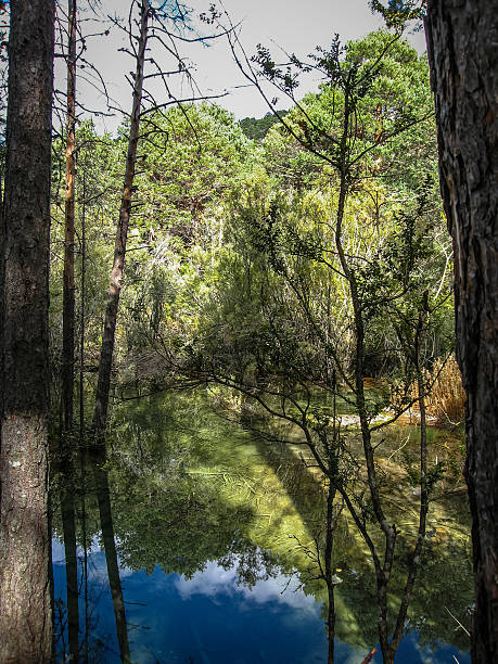 istock Source of the river Cuervo, Cuenca, Castilla la Mancha, Spain 498943382