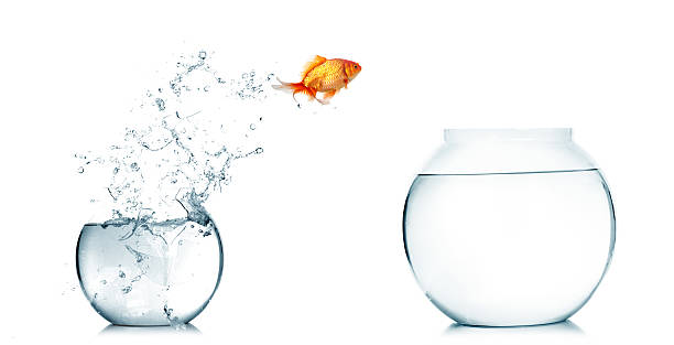 istock Goldfish jumping out of the fishbowl 498945400