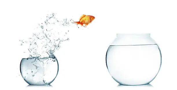 A goldfish jumping out of the broken  fishbowl on white background.