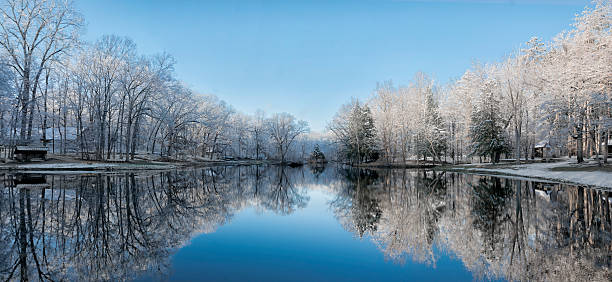 Snowy Winter Tree Lake Reflections stock photo