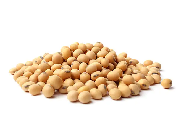 Dried soya beans on white background