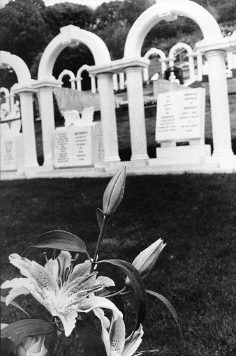 Graves of the children who died in the Aberfan disaster, 1966.