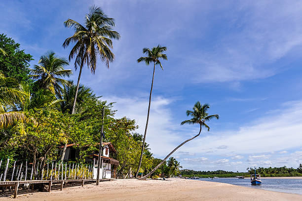 Boipeba Island Beach, Morro de Sao Paulo, Salvador, Brazil stock photo