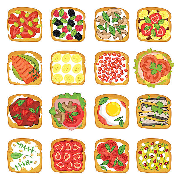 различные сандвичи на белом фоне - fennel vegetable food white background stock illustrations