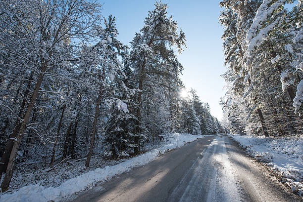 istock Fresh fallen snow - beautiful forests along country roads. 498947278