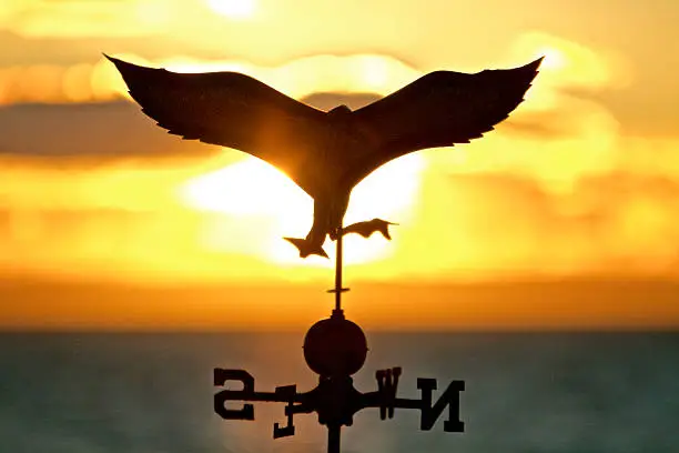 Photo of Weather Vane