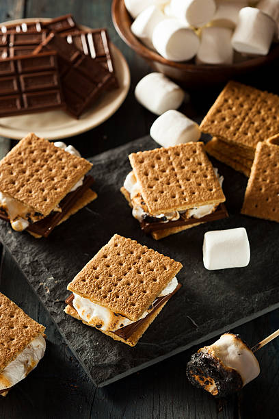 istock S'mores with Marshmallows Chocolate and Graham Crackers 498951217