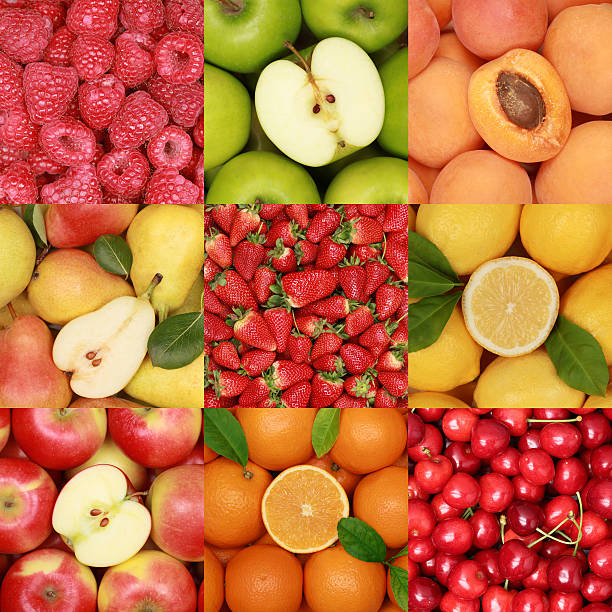 istock Collection of fresh fruits 498951917