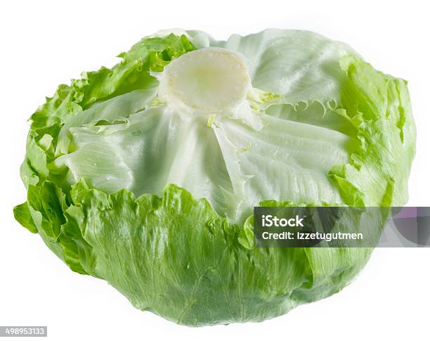 Lechuga Foto de stock y más banco de imágenes de Agricultura - Agricultura, Alimento, Comida sana