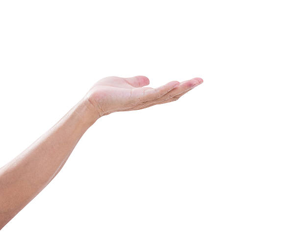 istock Male open palm hand gesture on white background 498955655