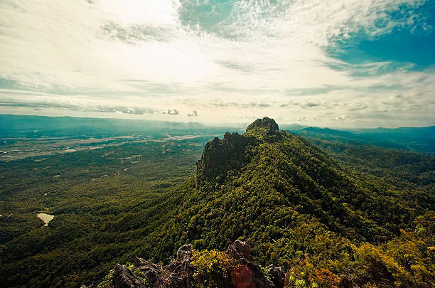 tropical rainforest,Khao Yai National Park Thailand