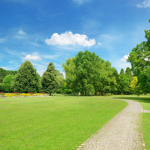 istock Beautiful meadow in the park 498956258