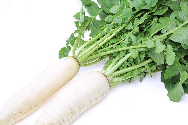 istock Japanese radishes with leaves in a white background 498970950