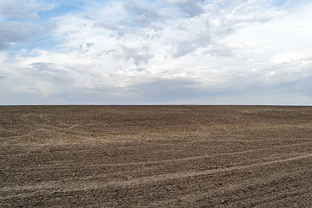 istock Arable land to the horizon 498971134