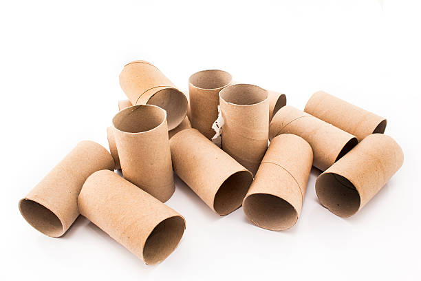 istock Empty toilet paper rolls isolated on white 498973900