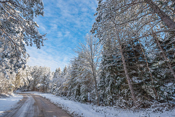 istock Rural road through wintry wonderland of snow covered trees. 498975252