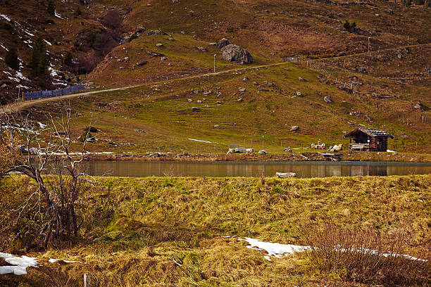 istock Beautiful Shack near a Lake 498975797