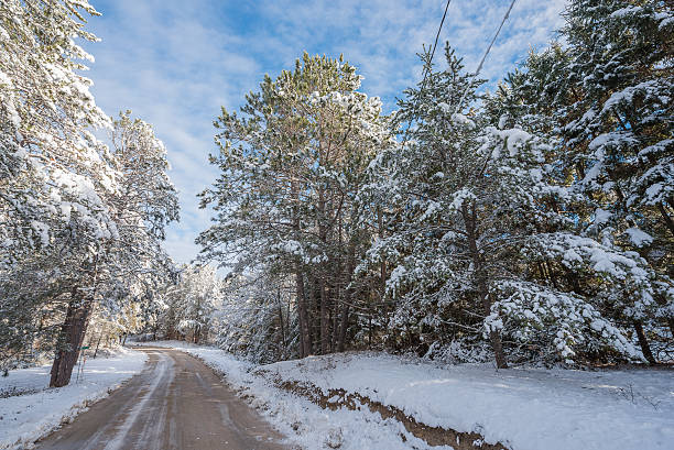 istock Rural road through wintry wonderland of snow covered trees. 498975968