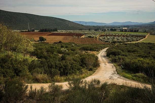 istock Colorful autumn fields, Livadia, Greece 498976272