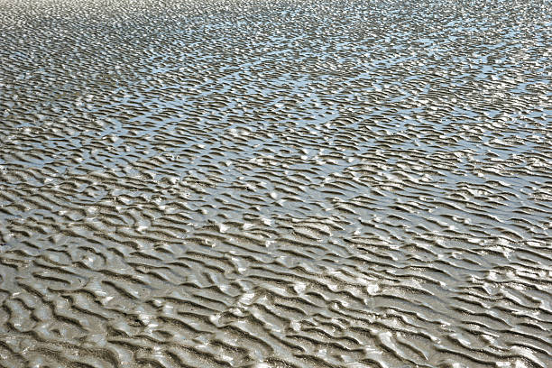 Texture of sand beach at low tide, Schooner bay, Long Beach, Pacific National Park, Vancouver Island, British Columbia, Canada