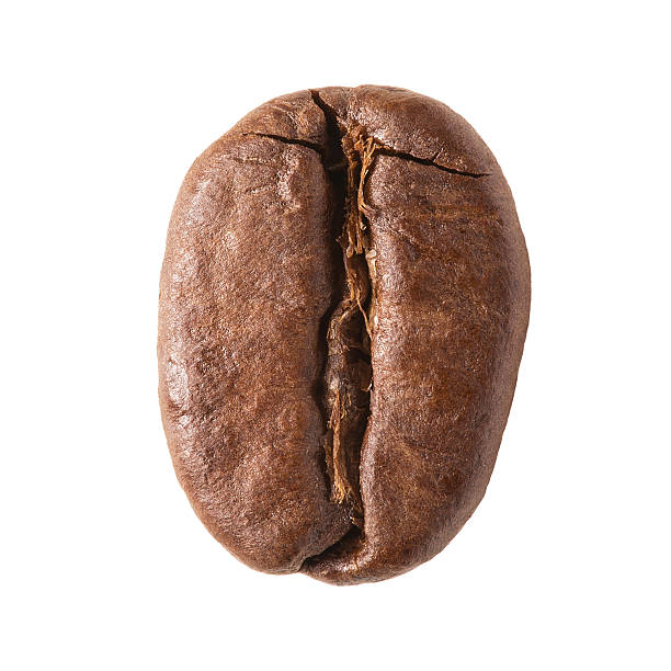 grão de café - coffee crop bean seed directly above - fotografias e filmes do acervo