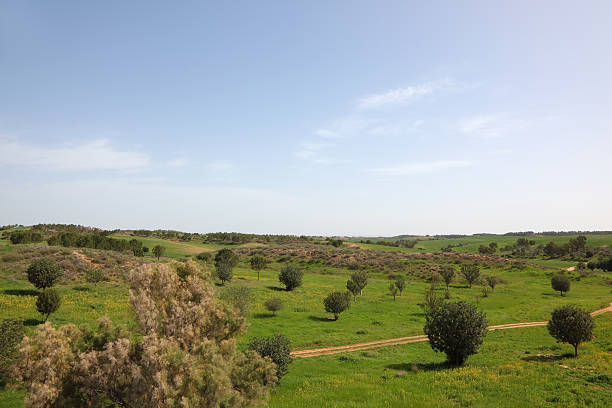 istock Clear spring day. The footpath crosses a meadow 498979145