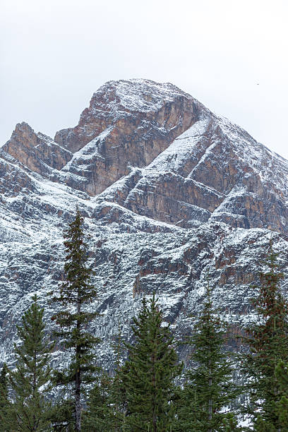 istock Canadian Rockies mountain scene 498982646