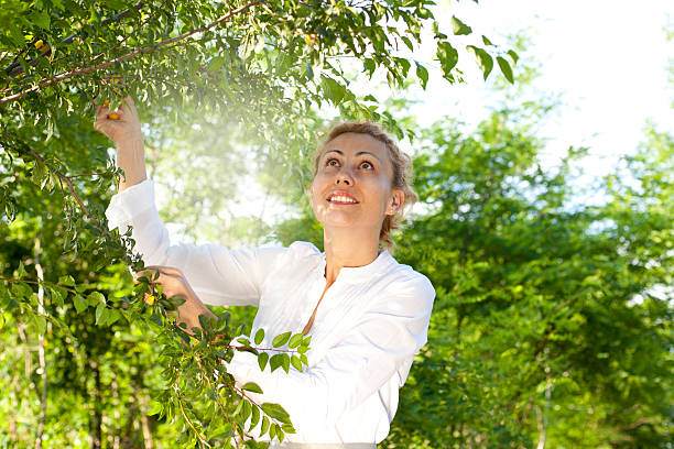 chica y primera hasvest - plum yellow eating beauty and health fotografías e imágenes de stock