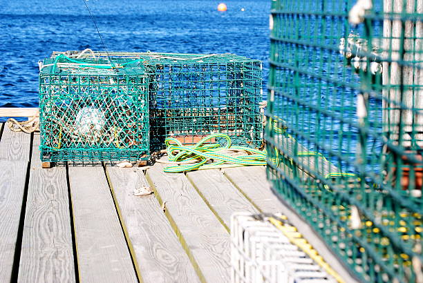 istock Lobster Traps In Maine 498995041