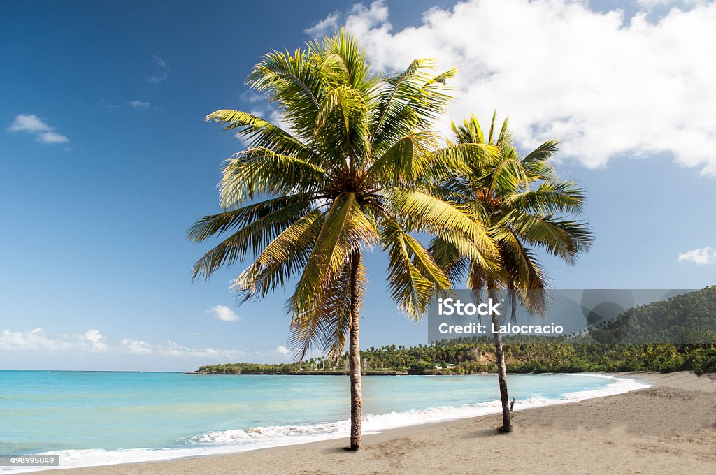 Playa Caribe. - Foto de stock de Aire libre libre de derechos