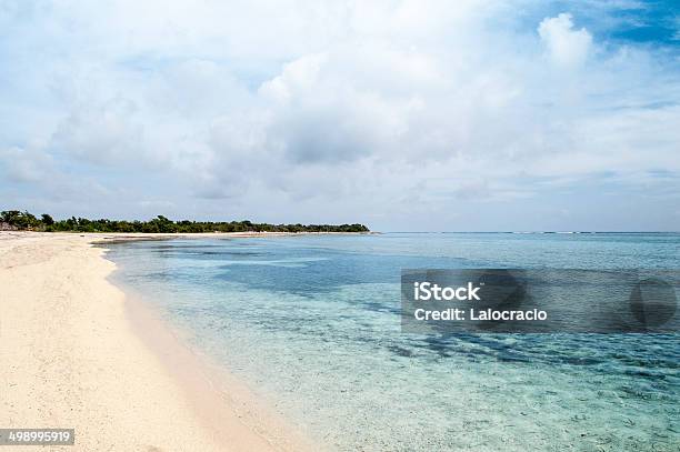 La Playa Foto de stock y más banco de imágenes de Aire libre - Aire libre, Azul turquesa, Caribe