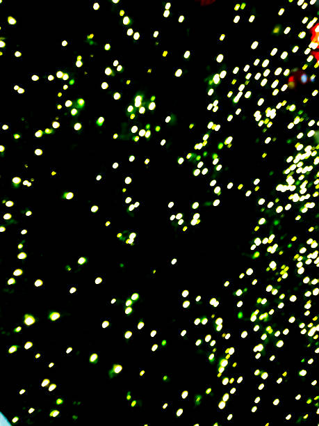 istock bokeh blurred out of focus background Christmas fir tree 498996807