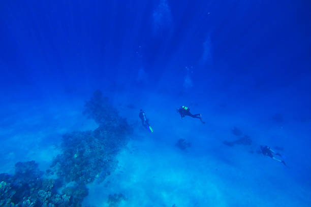 istock red sea underwater coral reef 498997772