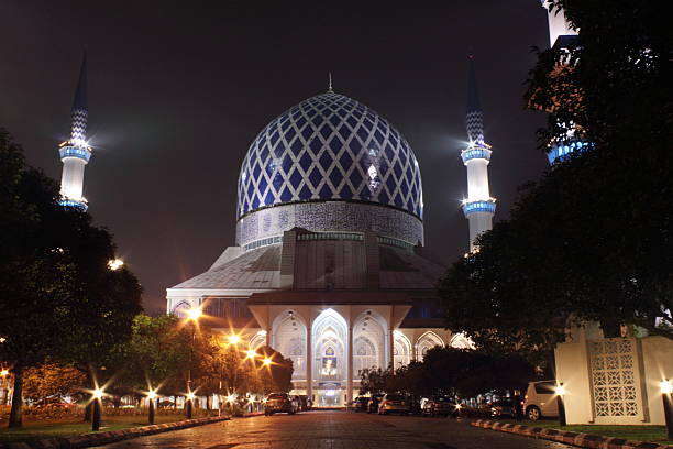 istock Night of the Blue Mosque 498998218