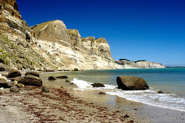 istock Cape Kidnappers New Zealand 498998696