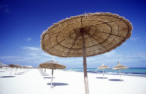 AFRIKA TUNISIA SOUSSE BEACH A sandy beach near Sousse in Central Tuneisen in North Africa. tunisia beach stock pictures, royalty-free photos & images