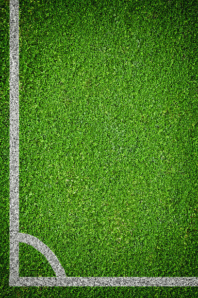 istock Natural green grass soccer field 498999761