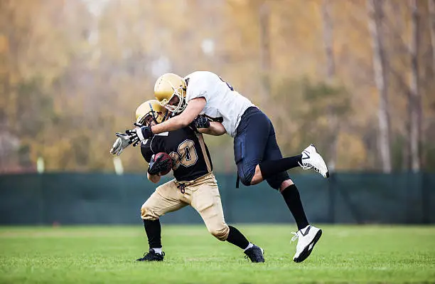 American football players in action on the playing field.   