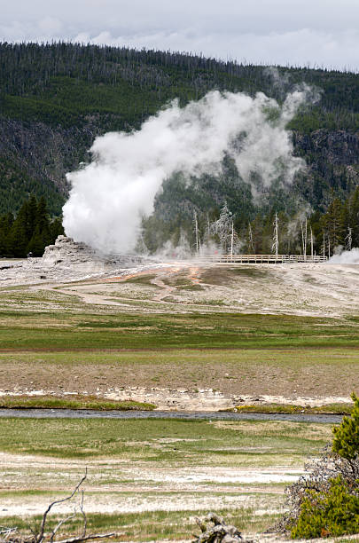 istock Geyser in Yellowstone 499000305