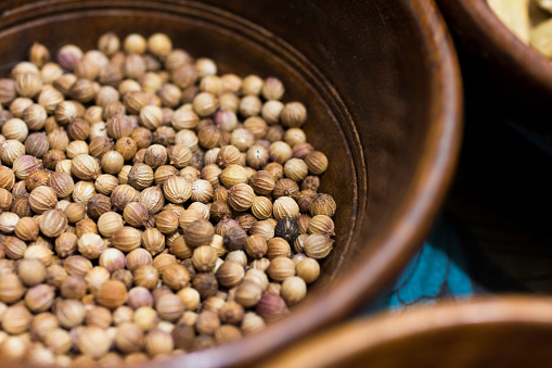 Coriander