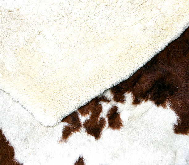 istock two carpets made from the wool of sheep 499001933