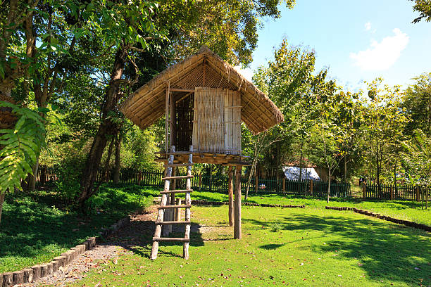 Temporary farmer's cabin in the woods, bamboo and palm it made from leaf