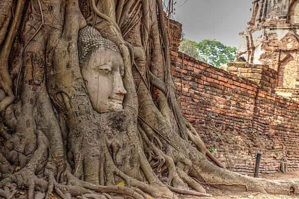 istock Sandstone buddha head in ancient temple 499019964