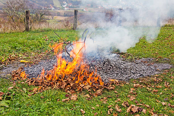 Smoke and fire from during Burning of garden waste