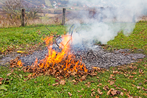 Smoke and fire from during Burning of garden waste