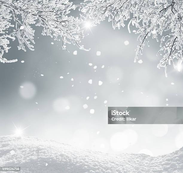 Winter Christmas Background Stock Photo - Download Image Now - Snow, Branch - Plant Part, Tree