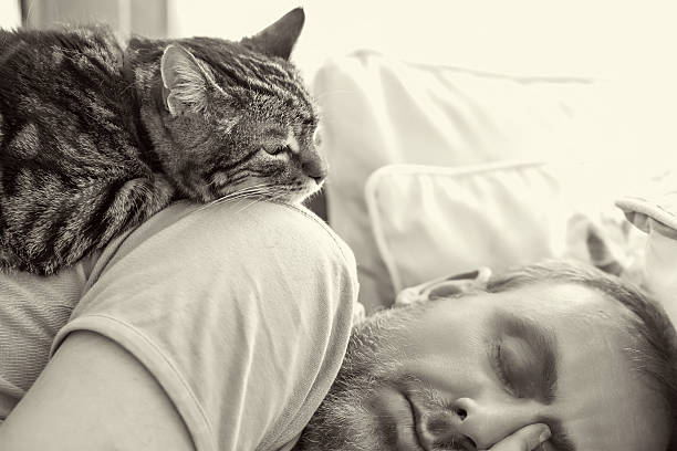 istock man and old cat: have faith in / sleeping 499026927