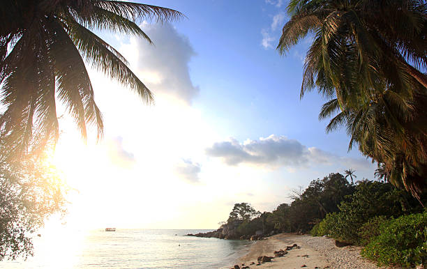 istock Beautiful sunset above the sea on Koh Phangan 499027111