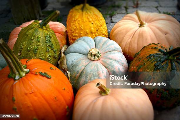 Pile Of Pumpkins Stock Photo - Download Image Now - Pumpkin, Autumn, Gourd