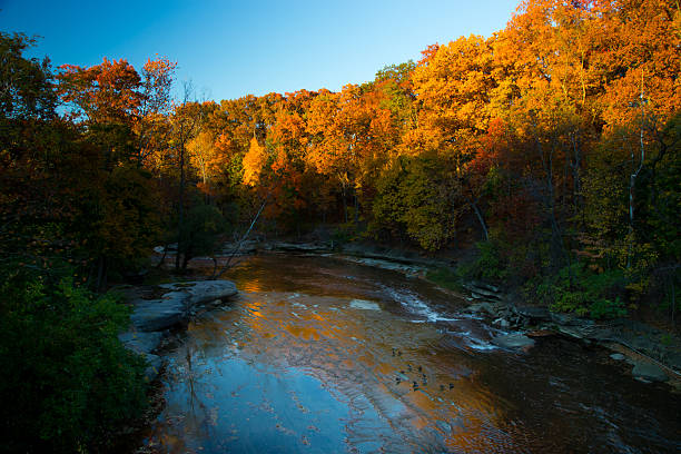 istock Shallow Canyon Stream Reflecting Sky and Fall Color 499027566